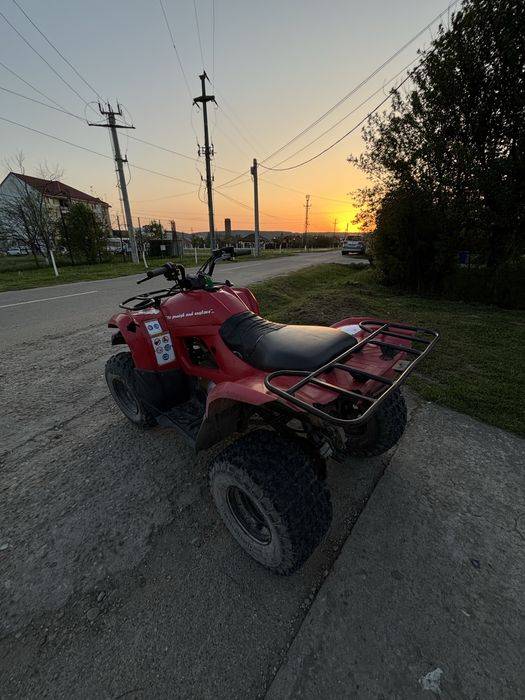 Vand yamaha grizzly 300cc 2011