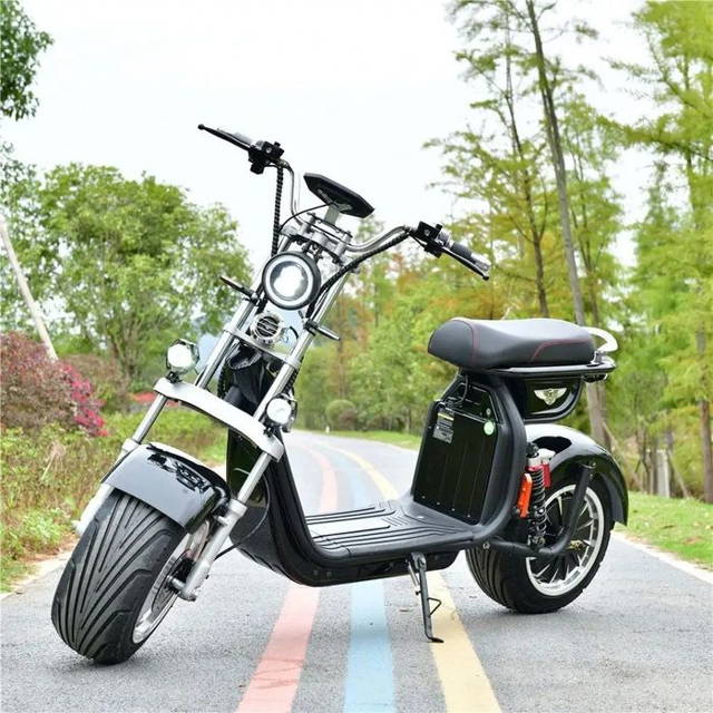 Scuter Electric Super Harley