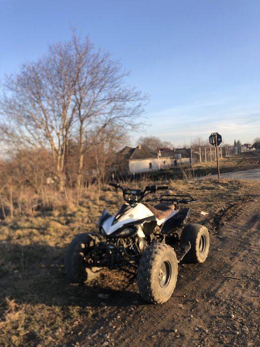 atv taotao 125cc