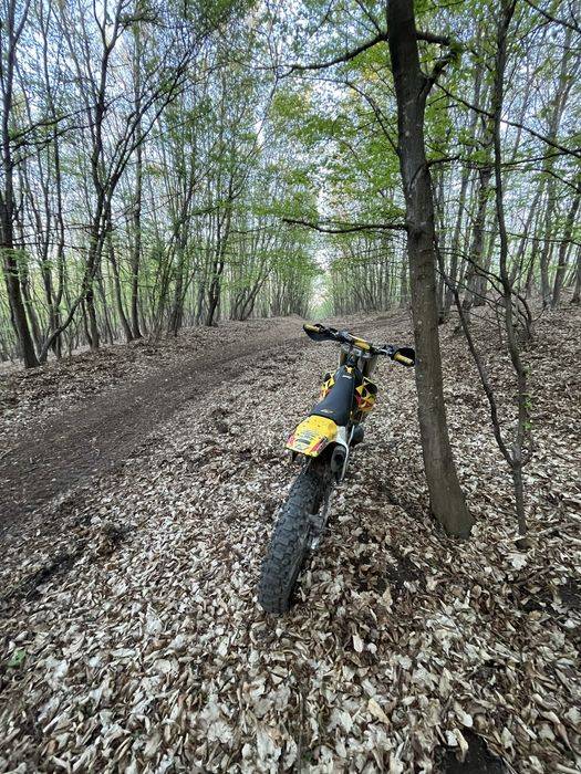 Suzuki RM 250 2t