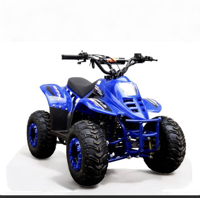 ATV Copii 125cc Cutie Automata Garantie 2 Ani