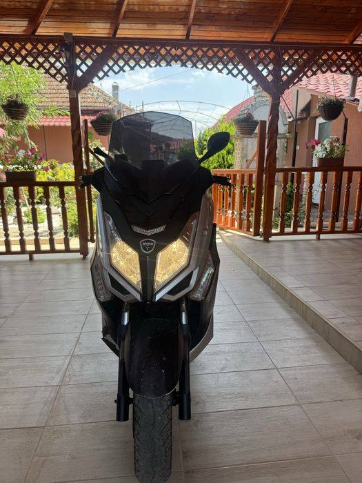 Neco Alex One 2022