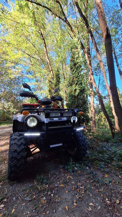 ATV Linhai 300 Worker 4x4