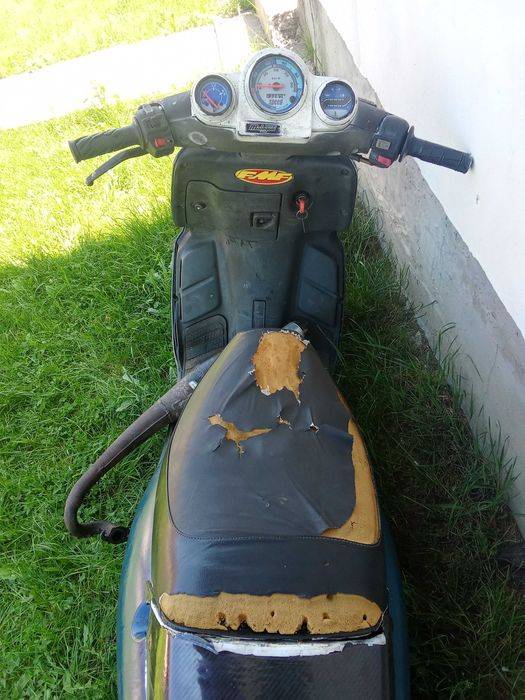 Vând malaguti f12