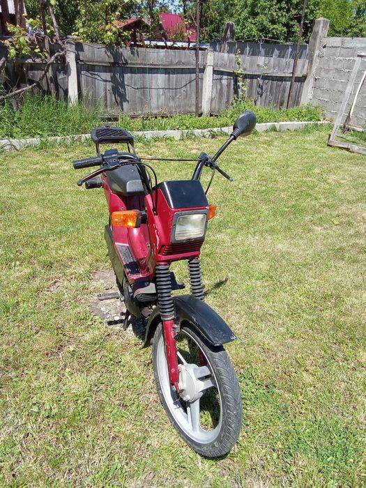 Califone Rizato 500 euro