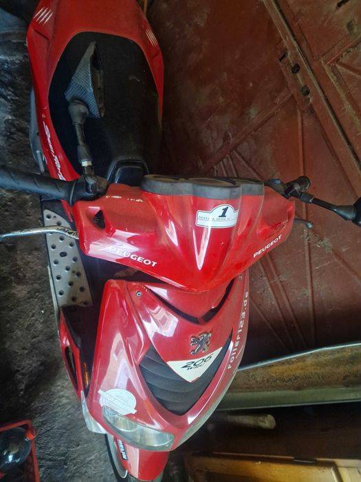 Scuter Peugeot  206 wrc