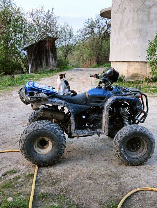 vand atv 200cc cu acte sau schimb cu ceva mai mare, ofer și diferenta