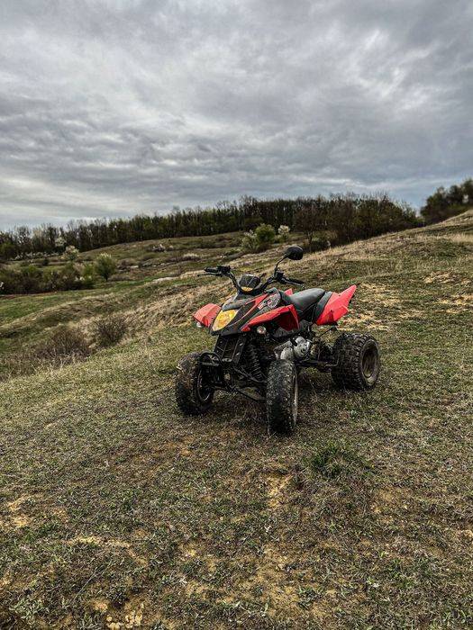 ATV Arctic Cat 300 Dvx