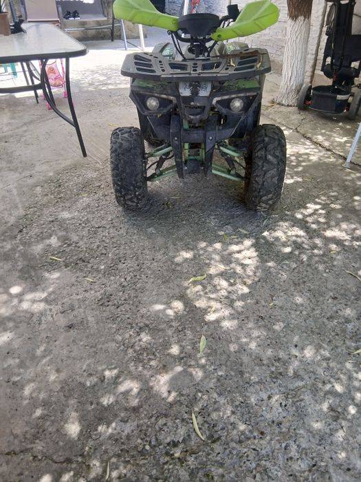 Atanasiui andrei