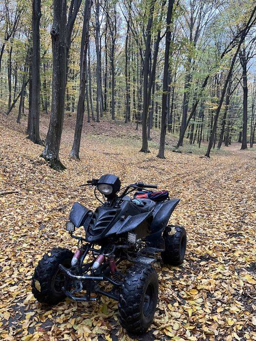 Vand atv loncin  200cc 4 trepte +1
