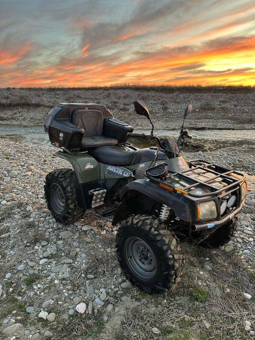 Arctic cat 300 2X4