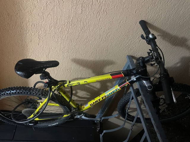 Mountain bicycle