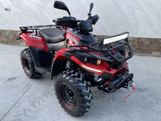 ATV ATW Linhai Dragon Fly 300 (nu tgb yamaha polaris sau can am)