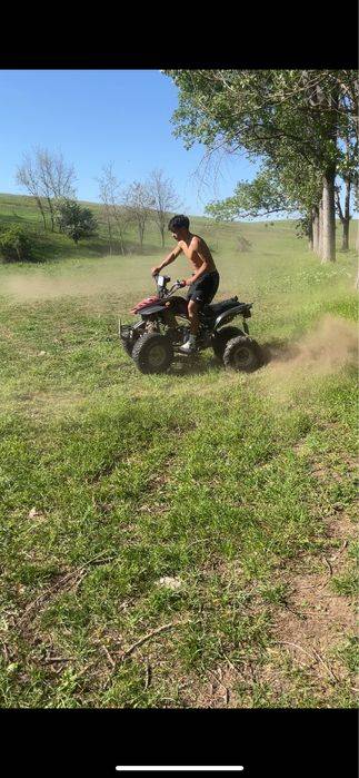 Bashan semiautomat 200cc cu acte