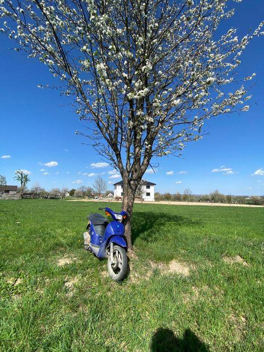 Vand scuter piaggio free