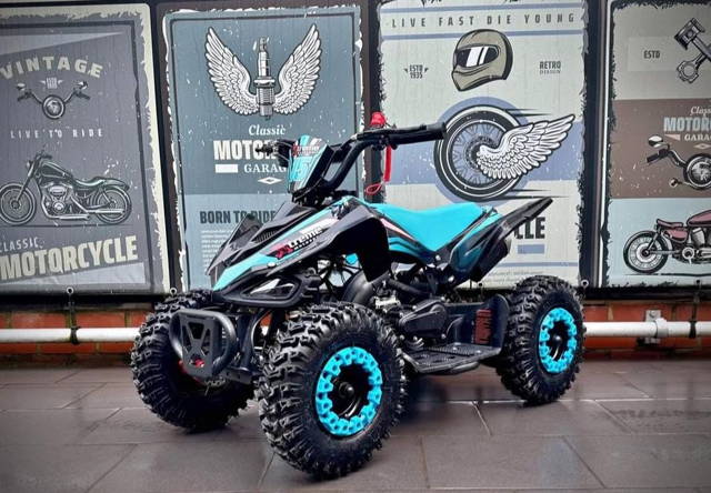 Atv copii Electric 1000w 36v / New Model 2025
