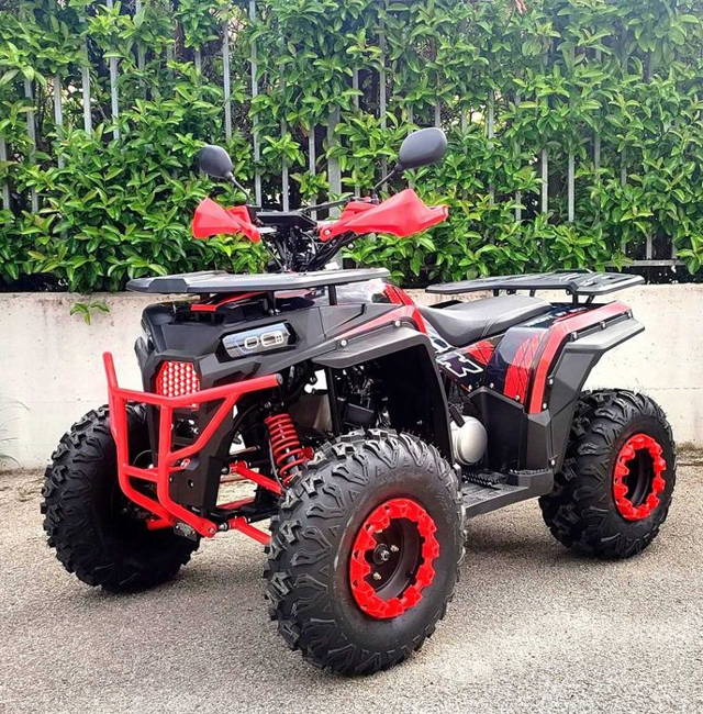 Atv NCX Mega Angry 10" 200cc 4T benzina rosu