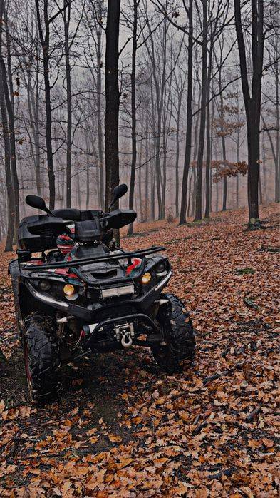 Vand Linhai 300 dragonfly 4x4