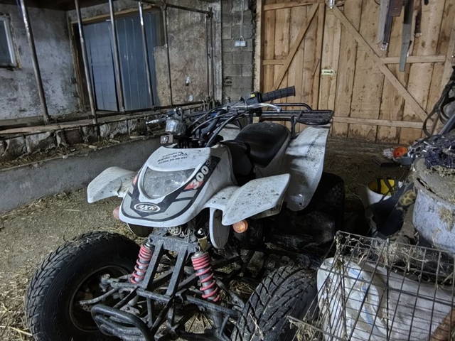 ATV adly 300 2007