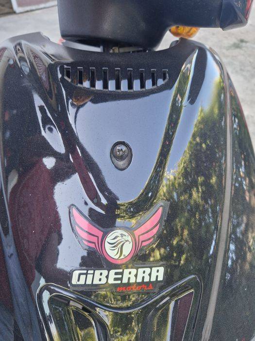 Scuter gilbeera 2