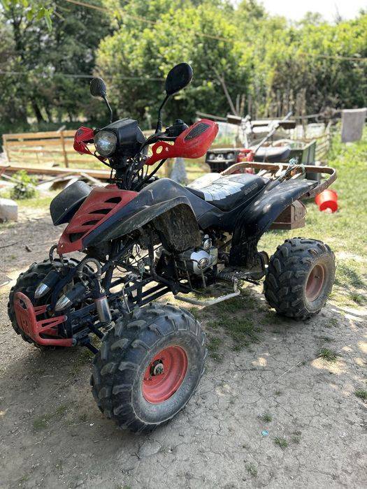 Vnad Atv Bashan Shinery