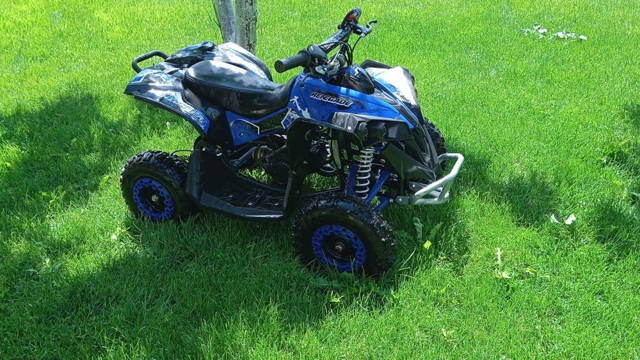 ATV motor benzină, 49cc , transmisie automată prin lanț