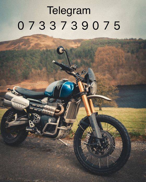 Oferta de Paste Triumph Scrambler 1200 XE