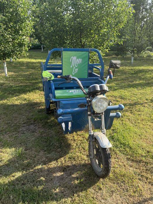 Triciclu electric Cargo Move Eco