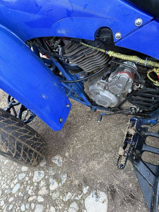 vand Adly motor 300