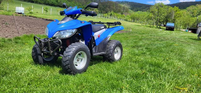 Atv Sim 2x4 cutie automată