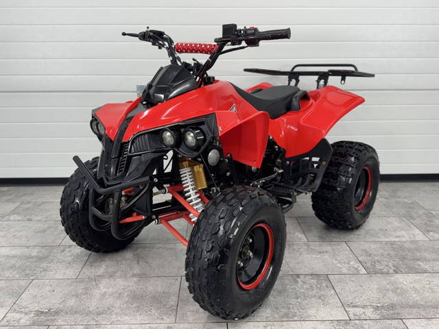 ATV Kxd Pro Germany  renegade 125cc (Kxd Moto Bemi Mars JRH Motor)