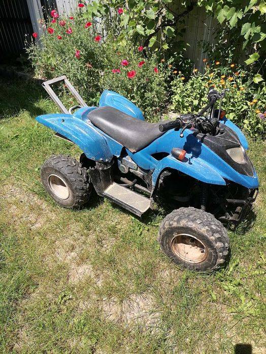 Vând Atv și Autoutilitara electrica