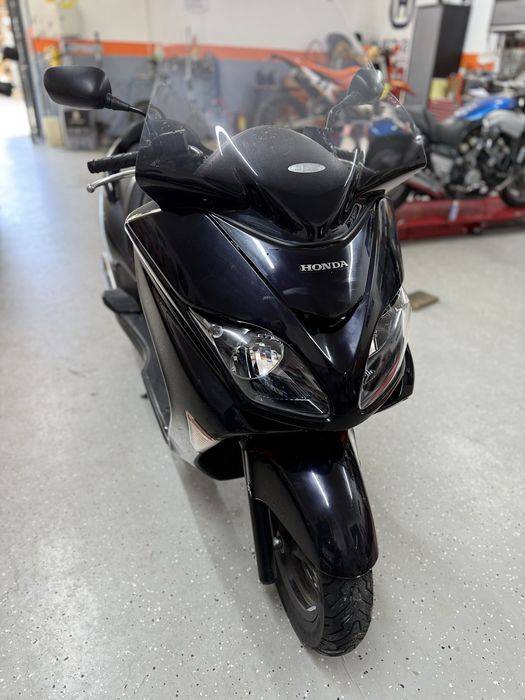 Honda Forza 250 import recent Italia