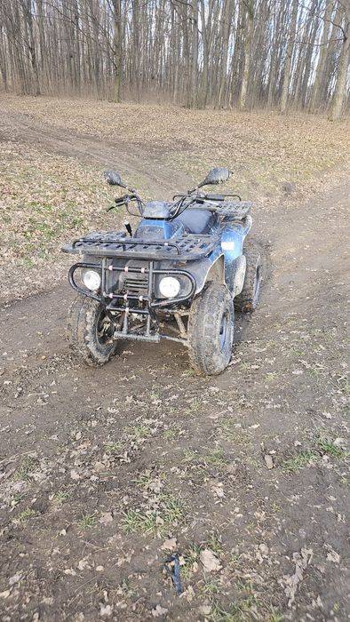 Atv 250 4 viteze inversor