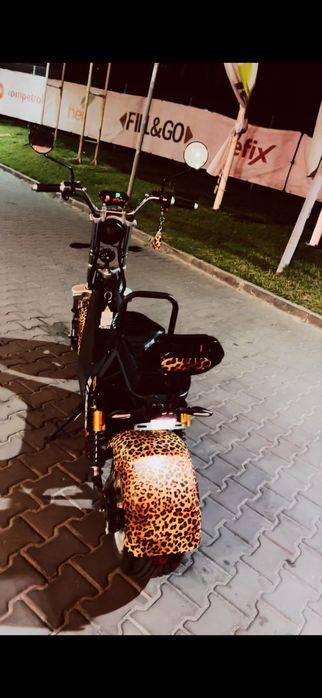 suter reb cc 15
