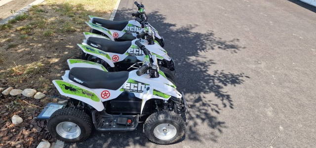 ATV electric 1000w