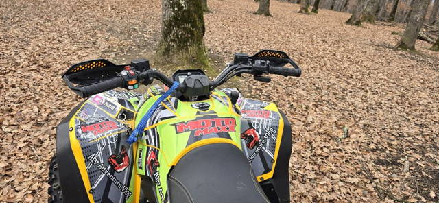 Can am renegade 500