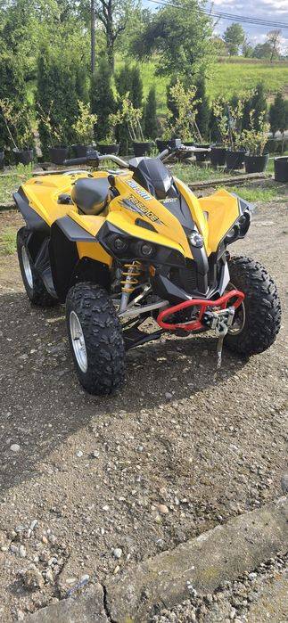 Can am renegade 800