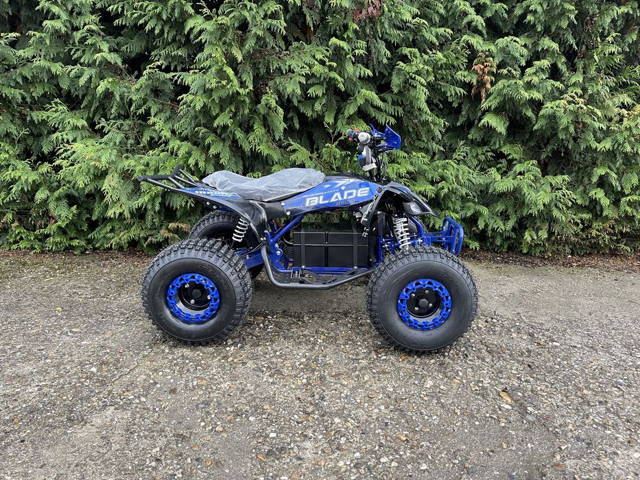 ATV electric 1000 w copii NOU