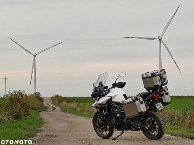 Triumph Tiger