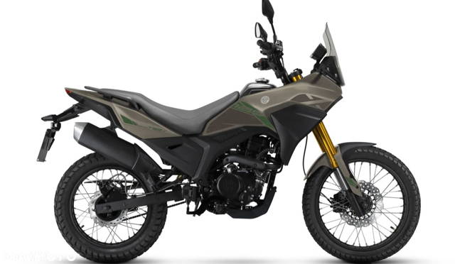 Morbidelli T125X