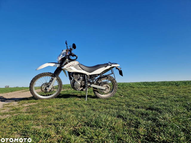 Beta Alp