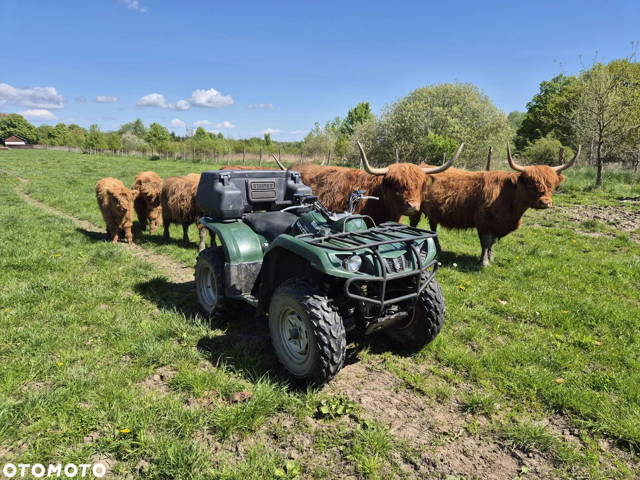 Yamaha Grizzly
