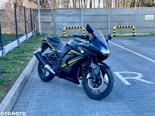 Kawasaki Ninja 250R