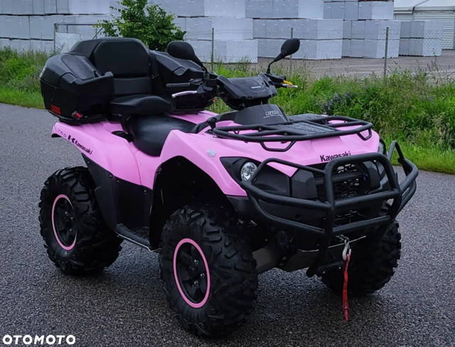 Kawasaki Brute Force