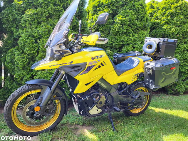 Suzuki DL
