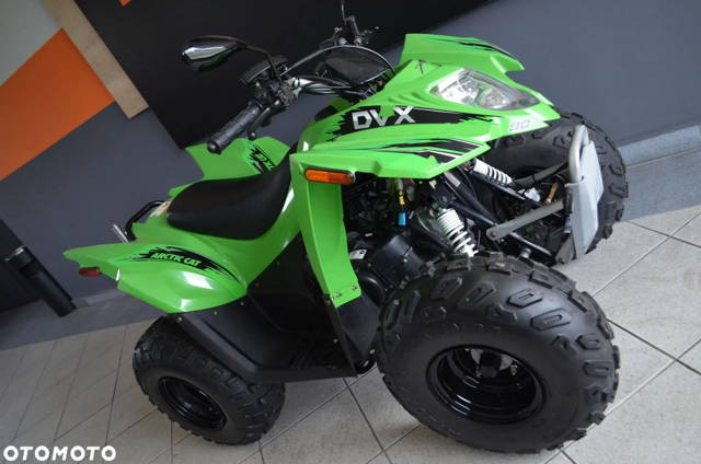 Arctic Cat Inny