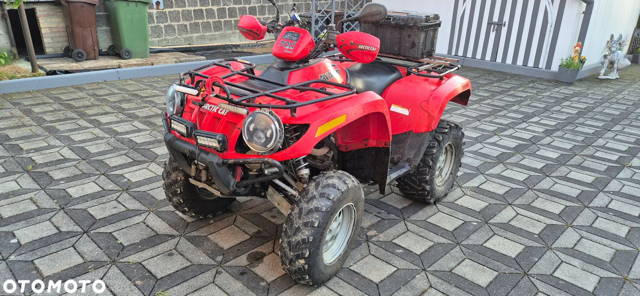 Arctic Cat Inny