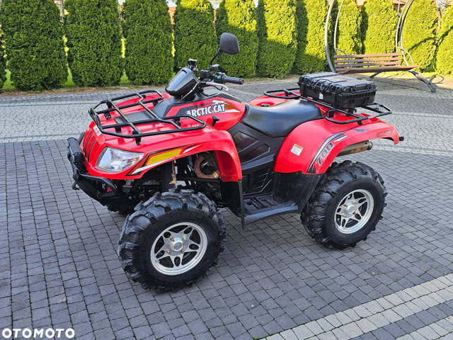 Arctic Cat Inny