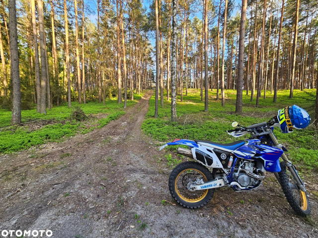 Yamaha WR